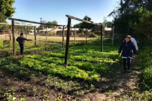 Escuela N534 Primera Luz De La Patria