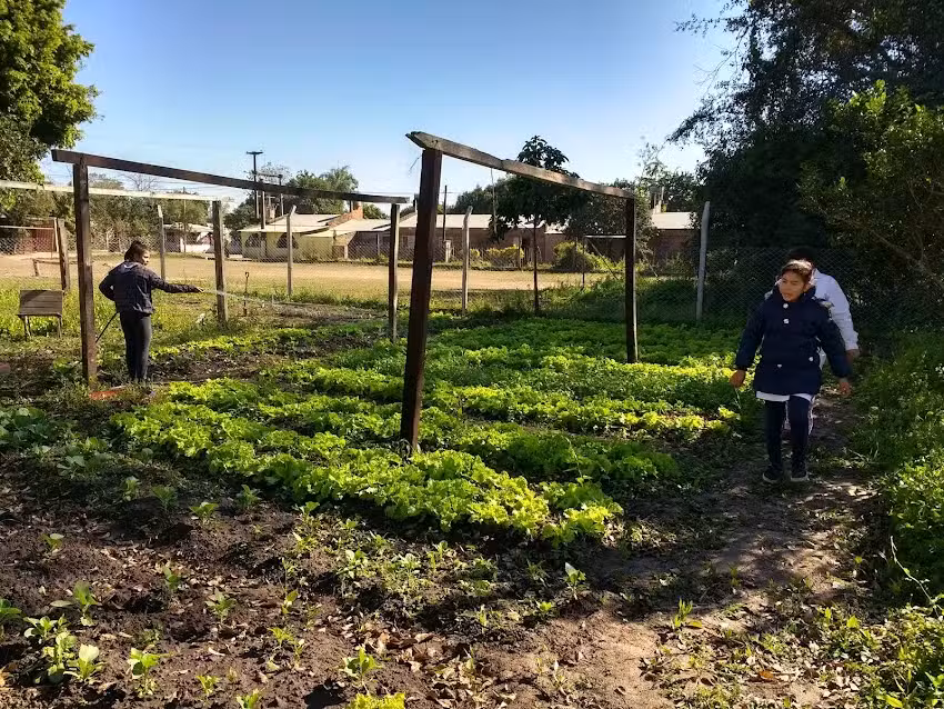 Escuela N534 Primera Luz De La Patria