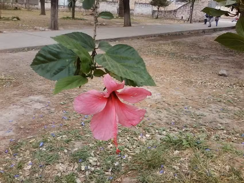 Escuela N95 Almirante Guillermo Brown