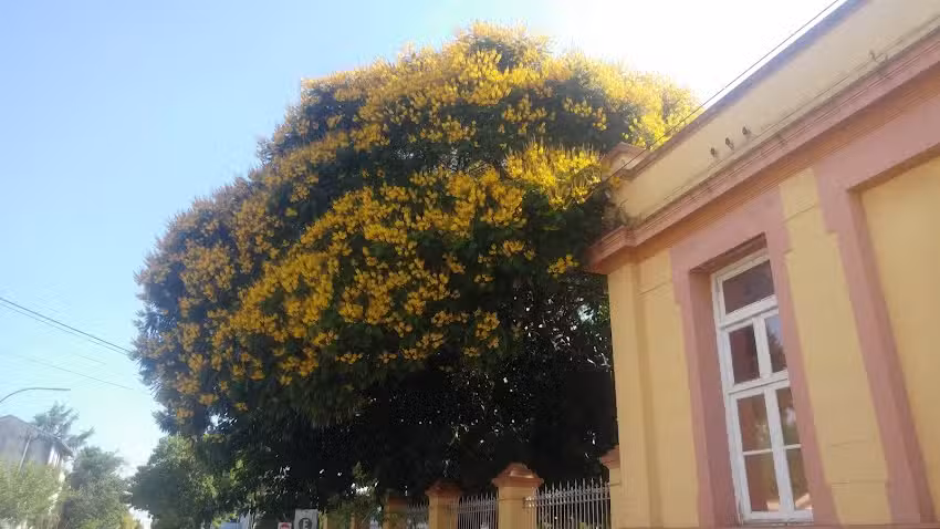 Escuela Nº 2 Alvarez Condarco