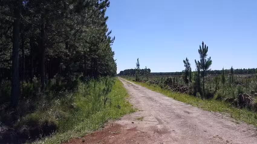 Escuela Nº 241 Padre Julián Zini