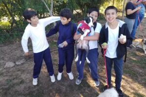 Escuela Nº 243 Gobernador Pedro Ferre