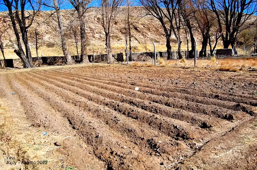 Escuela Nº 25 Sargento José Maríano Gomez