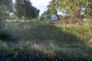 Escuela Nº 30 Grand Bourg