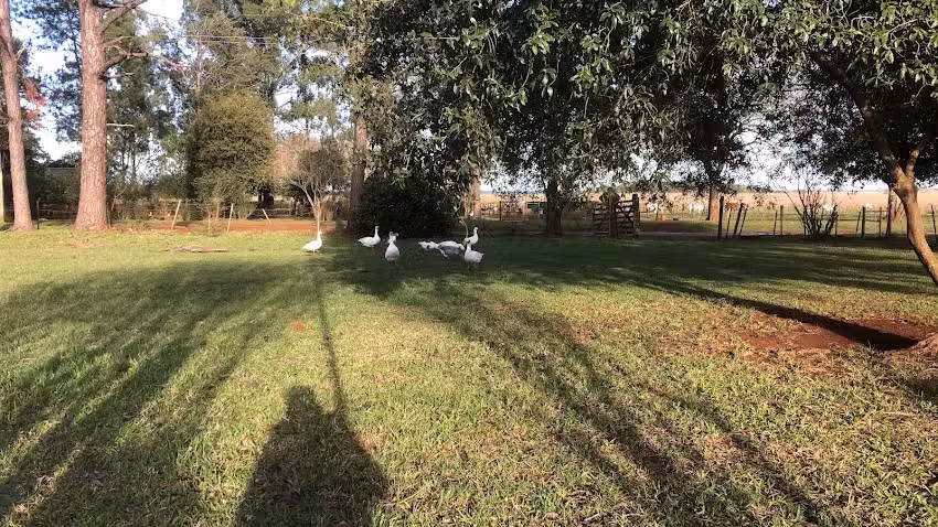 Escuela Nº 324 Alfredo Ernesto Haynes