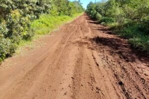 Escuela Nº 331 Guardacostas Lynch