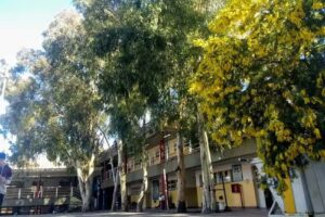 Escuela Nº 4132 Químicos Argentinos