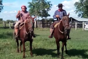Escuela Nº 435 Centenario