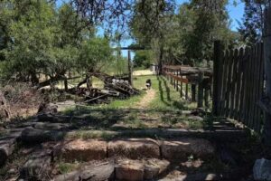 Escuela Nº 45 Martín J Thompson