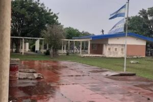 Escuela Nº 50 Guardianes Del Planeta