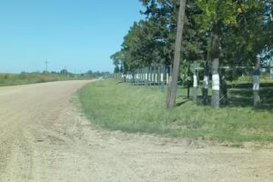 Escuela Nº 50 Martín Fierro