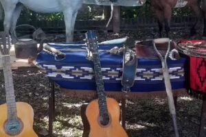 Escuela Nº 553 San Cayetano