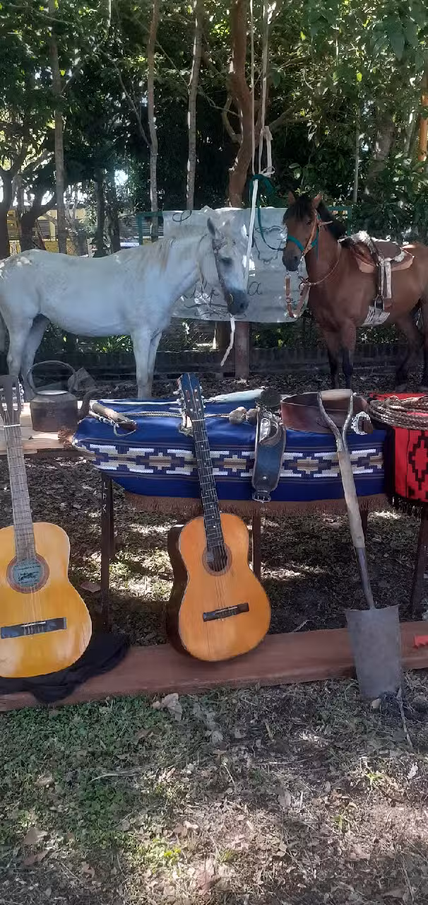 Escuela Nº 553 San Cayetano