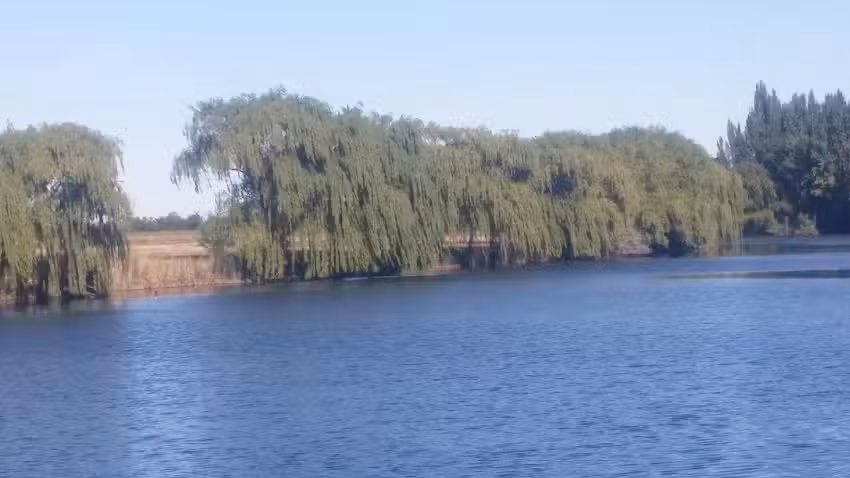 Escuela Nº 59 Ceferino Manuel Namuncura