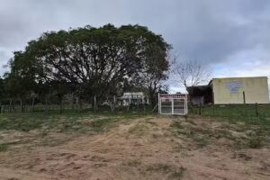 Escuela Nº 597 Deolinda F De Masdeu