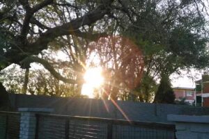 Escuela Nº 607 Bernardino Rivadavia