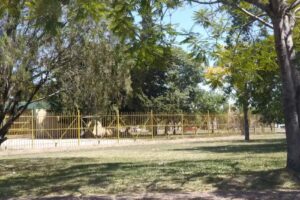 Escuela Nº 64 Josè Hernandez