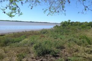 Escuela Nº 646 Pedro Romulo Tuoti