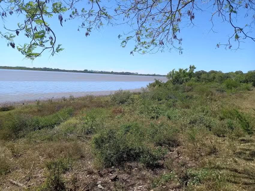 Escuela Nº 646 Pedro Romulo Tuoti