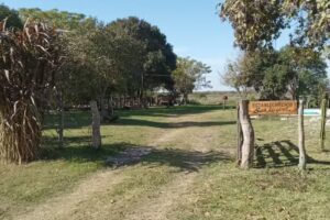 Escuela Nº 81 Tomas De Rocamora