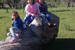 Escuela Nº 917 Pedro Arzuaga