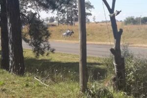 Escuela Nº127 San Martin