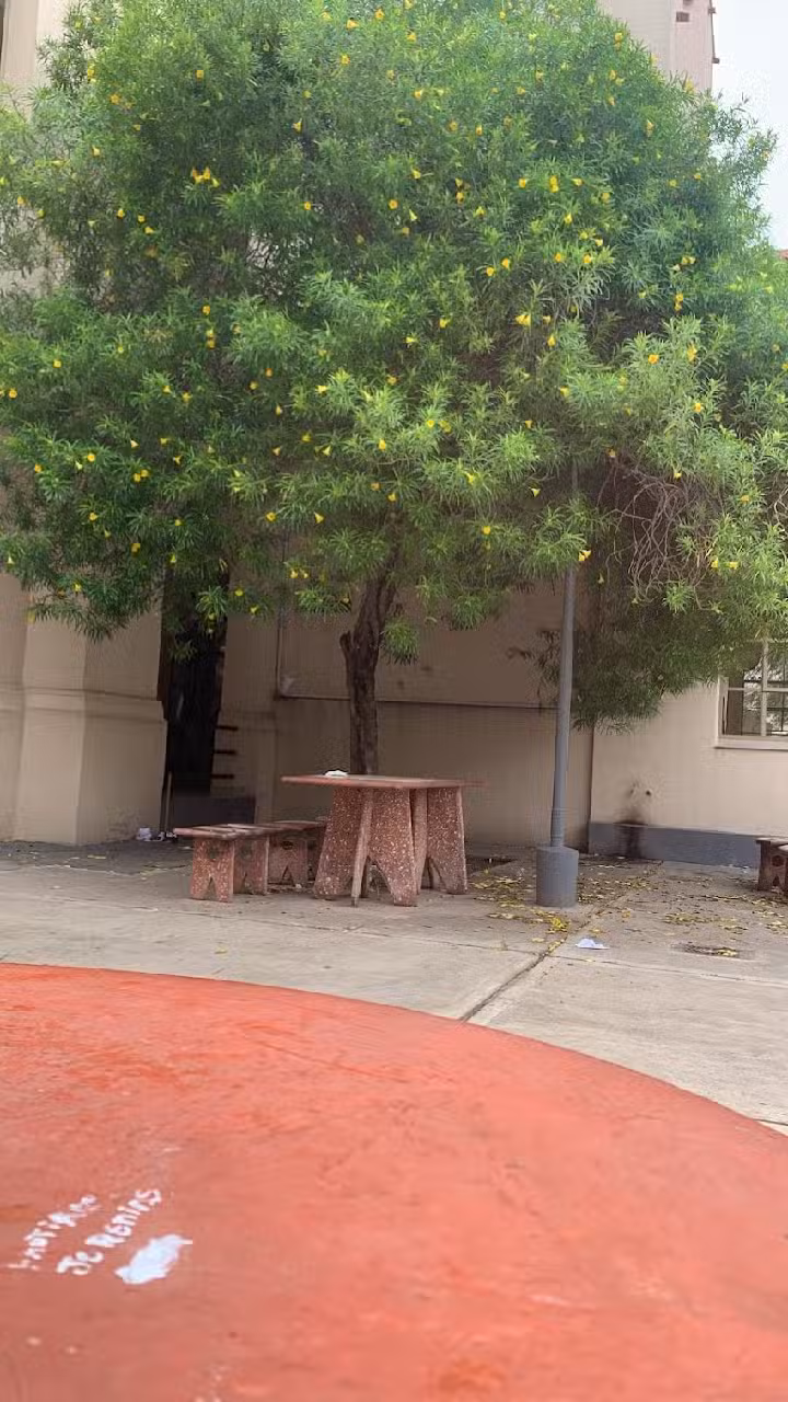 Escuela Normal Superior Dr José B Gorostiaga