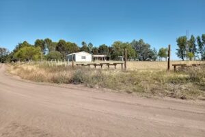 Escuela nro 31 Patricios