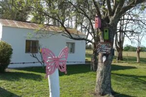 Escuela nro 65 ex 80 José María Paz