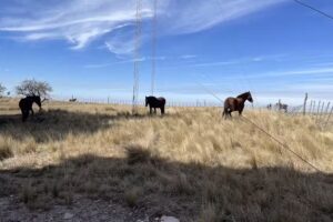 Escuela Nuestra Señora del Valle