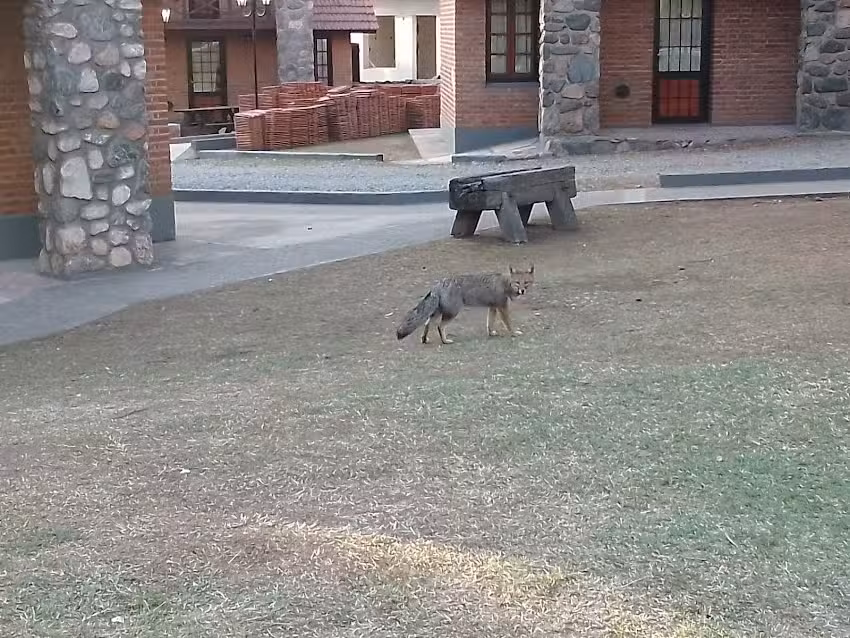 Escuela Nueva Latinoamérica