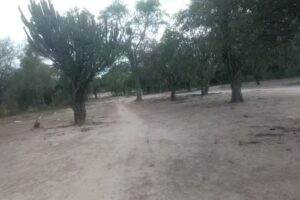 Escuela Número 4692