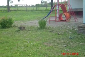 Escuela Obispo Jose Eusebio Colombres