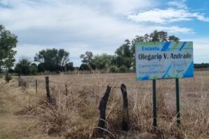 Escuela Olegario V Andrade Campo Fioretta