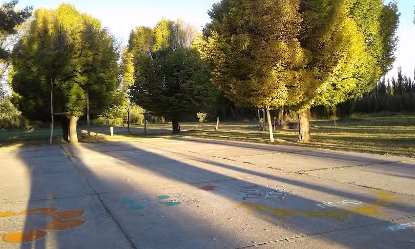 Escuela Primaria 167 La Amparo