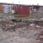 Escuela Primaria 217