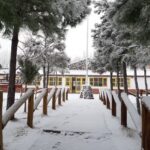 Escuela Primaria 217