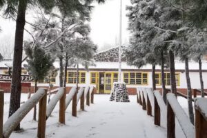 Escuela Primaria 217