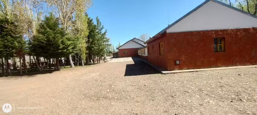 Escuela Primaria 217