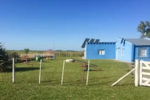 Escuela Primaria 22 Esteban Echeverría