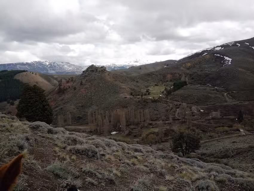 Escuela Primaria 222 Chiquilihuin