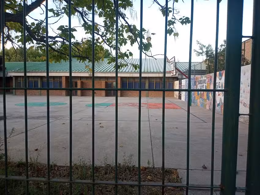 Escuela Primaria 313