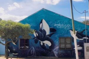 Escuela Primaria Básica N21 Mar De Cobo