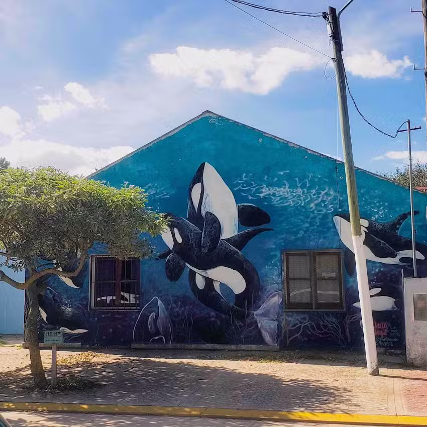 Escuela Primaria Básica N21 Mar De Cobo