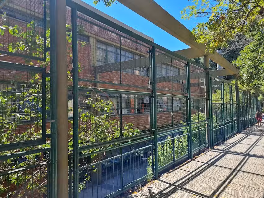 Escuela Primaria Común N 07 Niñas de Ayohuma