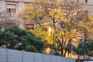 Escuela Primaria Común N 08 D E 1 Nicolás Avellaneda