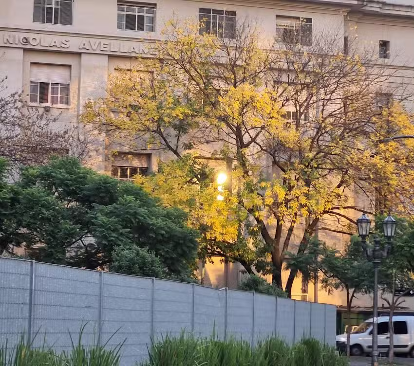 Escuela Primaria Común N 08 D E 1 Nicolás Avellaneda