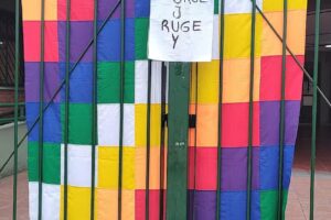 Escuela Primaria Común N 10 Cnel de Marina Leonardo Rosales