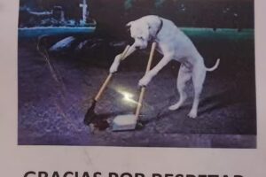 Escuela Primaria Común N 10 Gral Araoz de Lamadrid