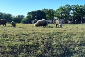 Escuela Primaria Común N 23 Provincia de Entre Ríos